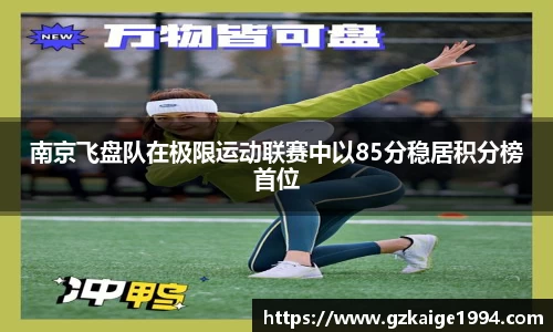 南京飞盘队在极限运动联赛中以85分稳居积分榜首位